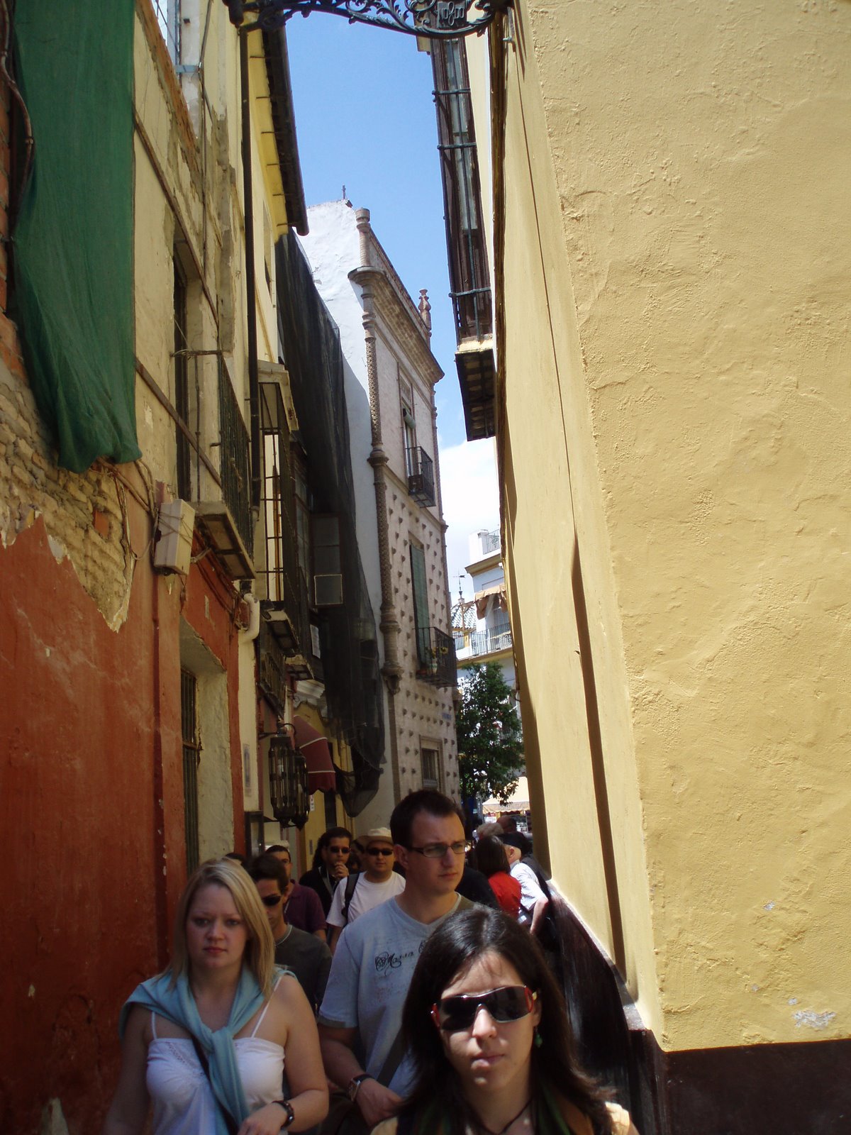 [P5101829.JPG]
