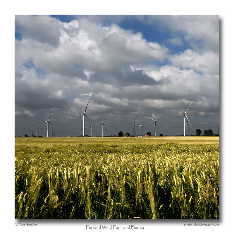 [Fenland-Wind-Farm-and-Barley-2.jpg]