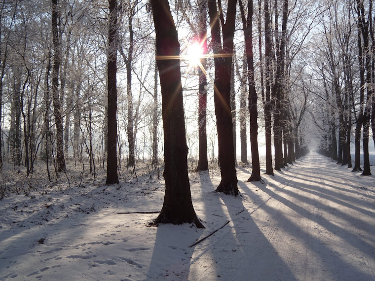 De pracht van de natuur...tegenover de wreedheid van het individu...