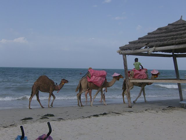 [Djerba2.jpg]