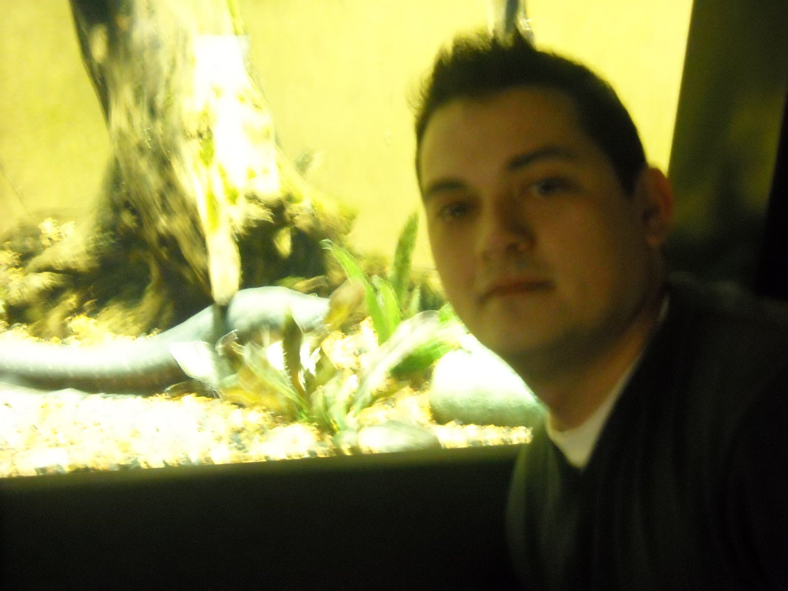 [DSCN0055.JPG]