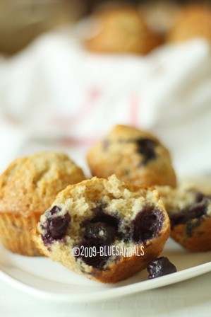 [BB+Muffins+(3).jpg]