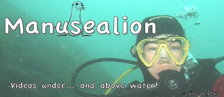 Manusealion - Underwater videos