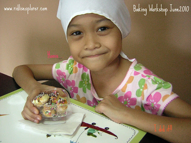 Ridlis Explorer Interactive Workshop