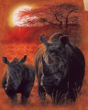 [Rhino+(sunset).bmp]