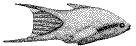 Thelodontia2.gif