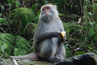 030402-3.gif