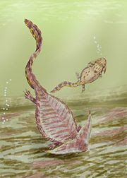 180px-Diplocaulus_vale21DB.jpg
