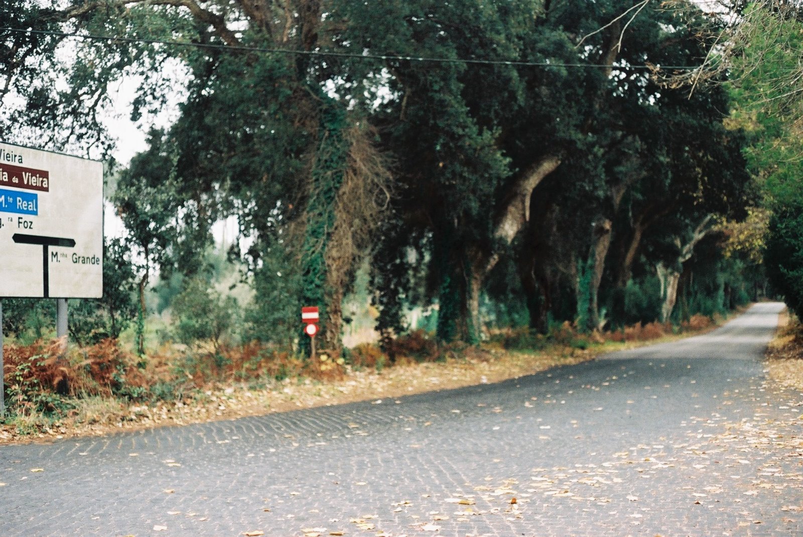 [F1000007.JPG]