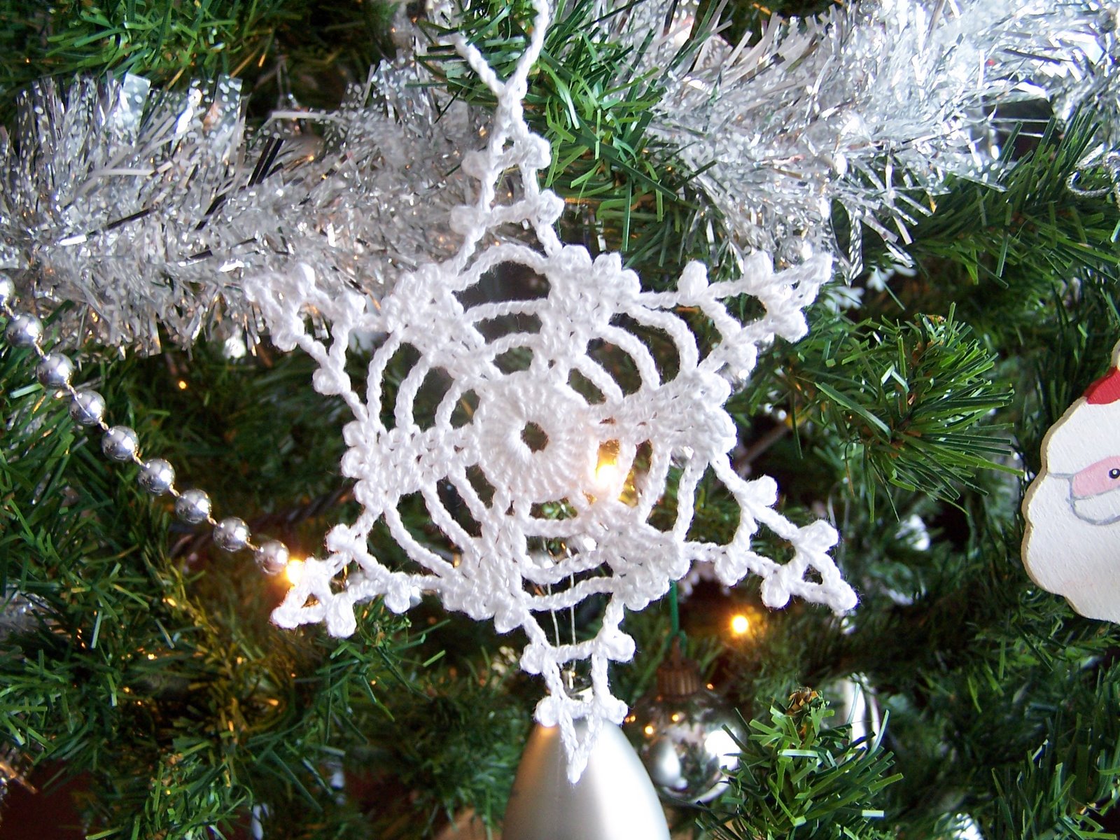 [new+discoveries+015.JPG]