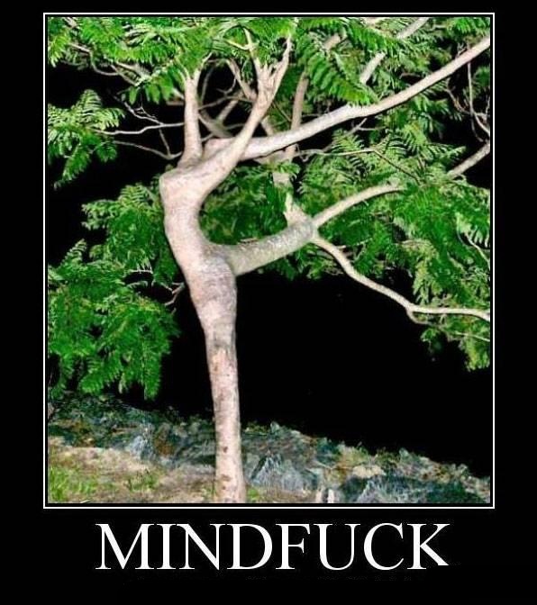 mindfuck-tree-72806.jpg