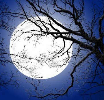 [moon+light.htm]