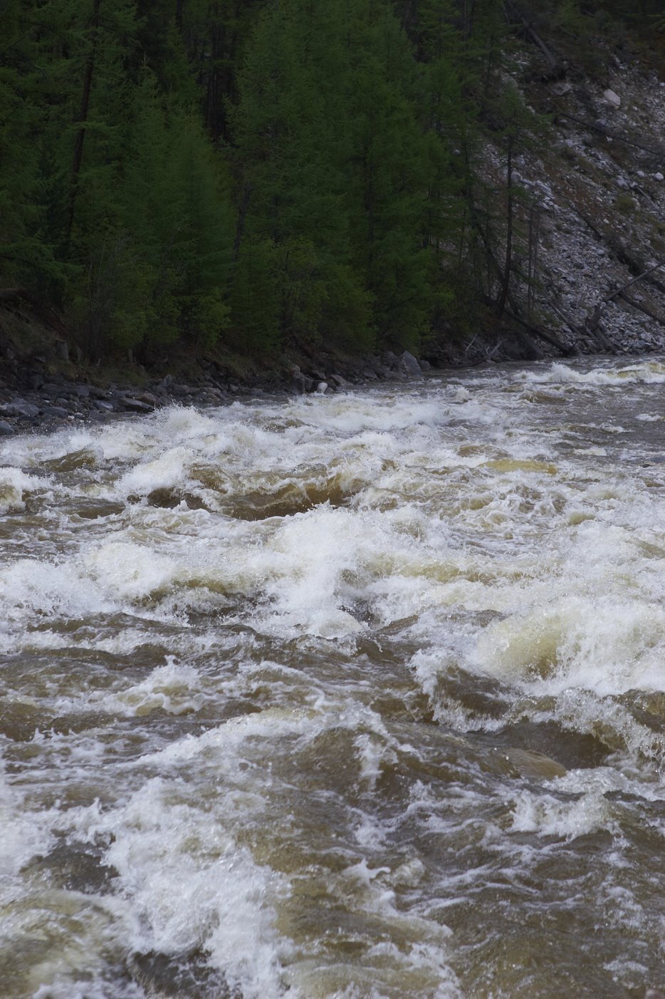 [IMG_1015_новый+размер.jpg]