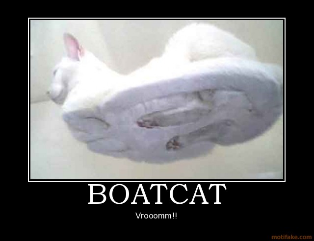[boatcat-demotivational-poster-1235534937.jpg]