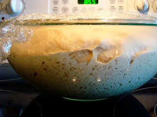 dough proofing in a glass bowl