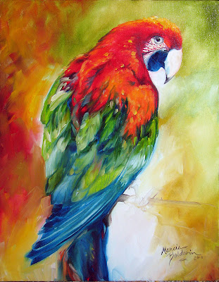 Macaw+bird+price+in+india