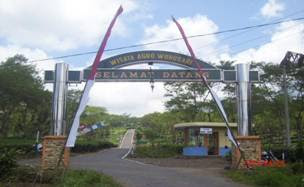 Perkebunan Teh Lawang-Purwosari