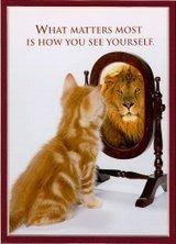 Attitude Matters