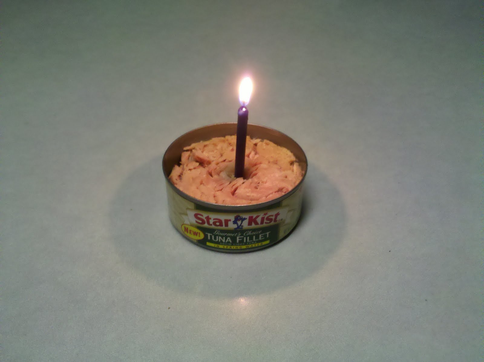 My Kaneclusions! Swiffur's 1st Birthday