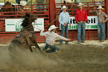 Lakeport Rodeo