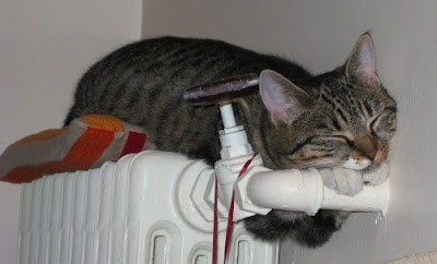 prostituees synonymes