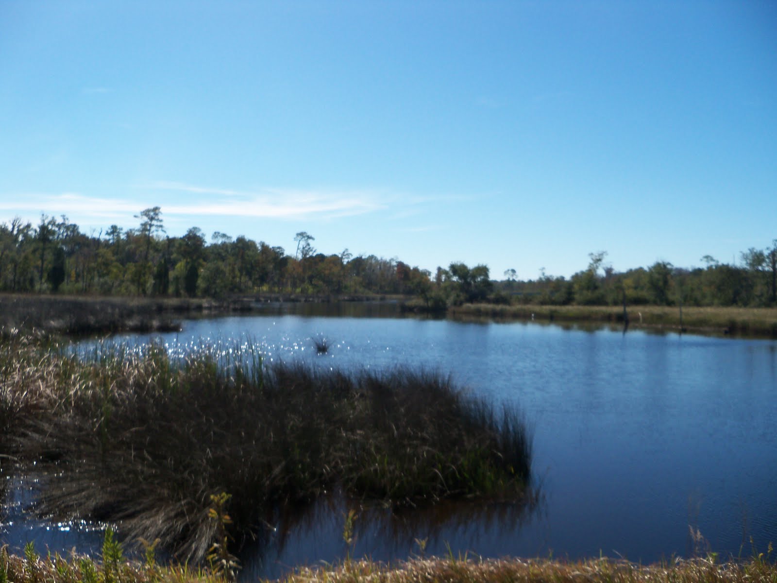 Moss Point, MS History