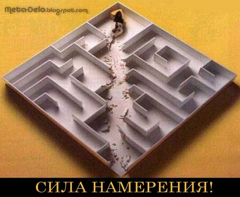 [сила-намерения.jpg]