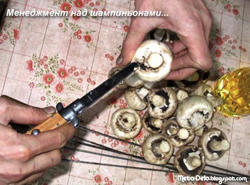 [менеджмент-над-шампинонами.jpg]