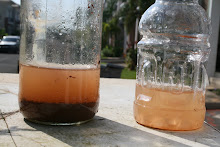 The third time treated water result compared to untreated one