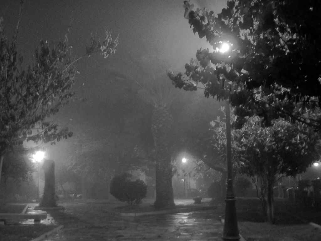 [parque+niebla.JPG]