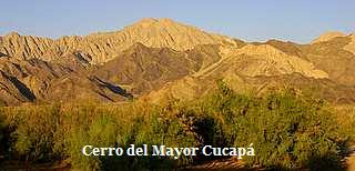 Cerro Mayor [1981]