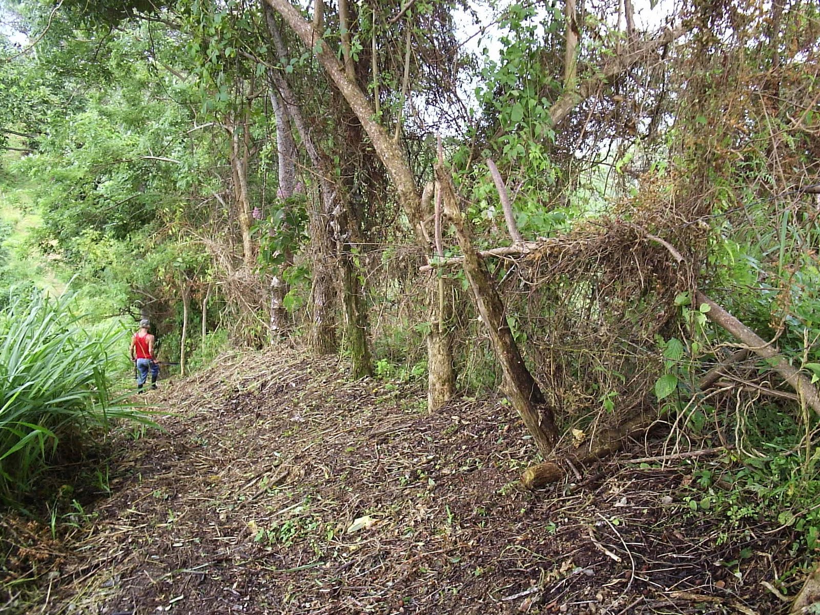 [8+Finca+gate+2.JPG]