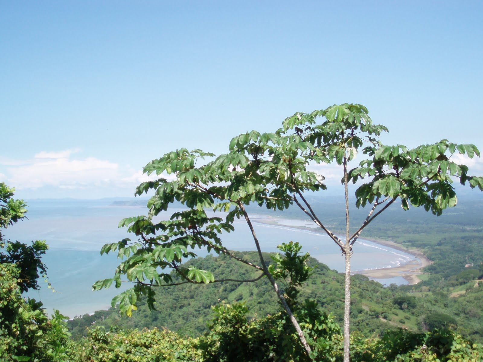 [Costa-Rica+view+ocean+back+mountain+jungle+ok.jpg]