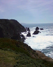 Bodega Head