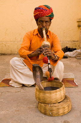 La ciudad del vino El encantador de serpientes