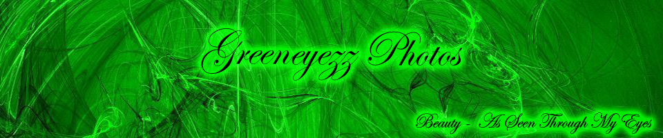 Greeneyezz Photos