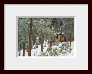 A framed photo of a cedar sided cabin nestles in a pine forest of northern Colorado.