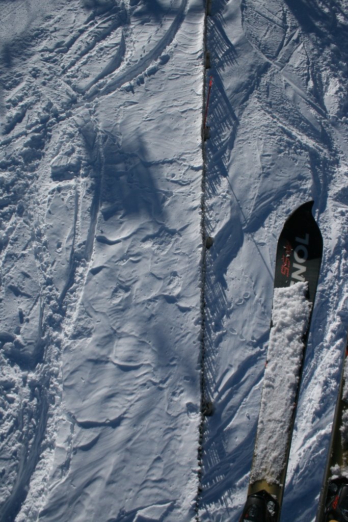 [IMG_1618.resized.rotated.JPG]