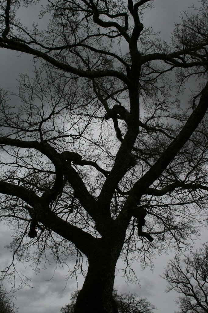 [IMG_2946.resized.rotated.JPG]