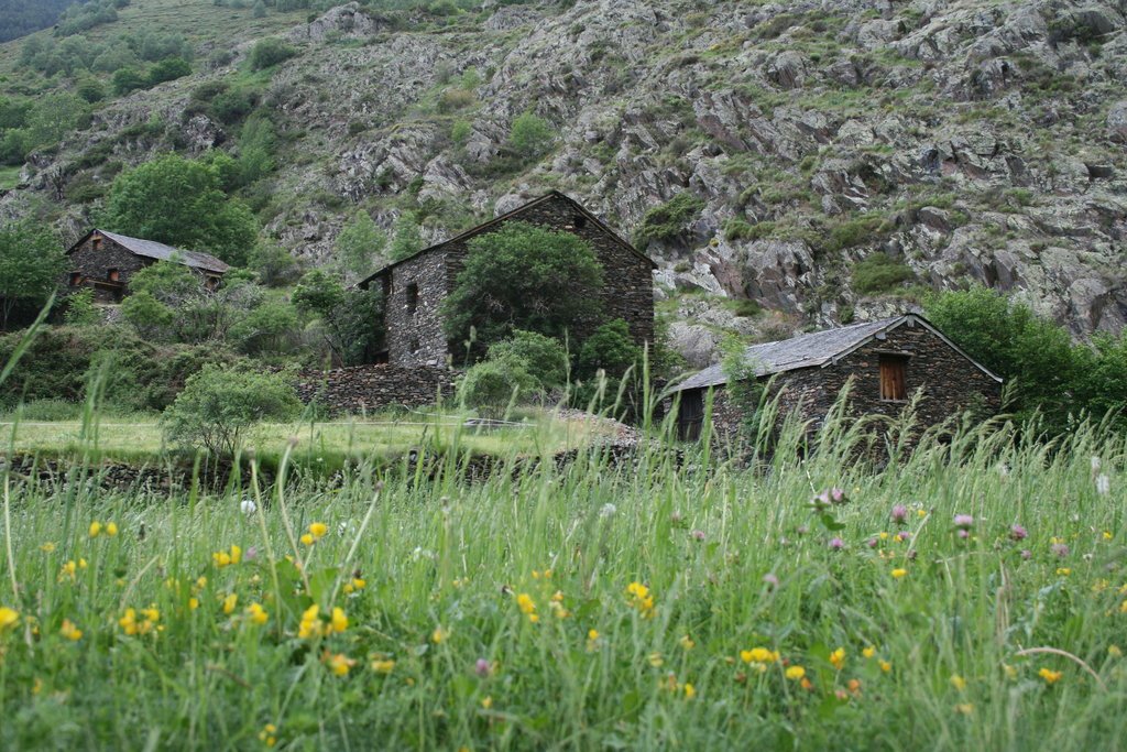 [IMG_4614.redimensionada.JPG]