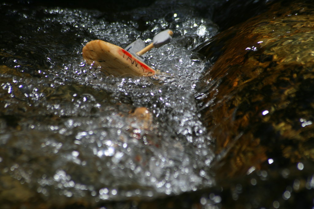 [IMG_5795.redimensionada.JPG]