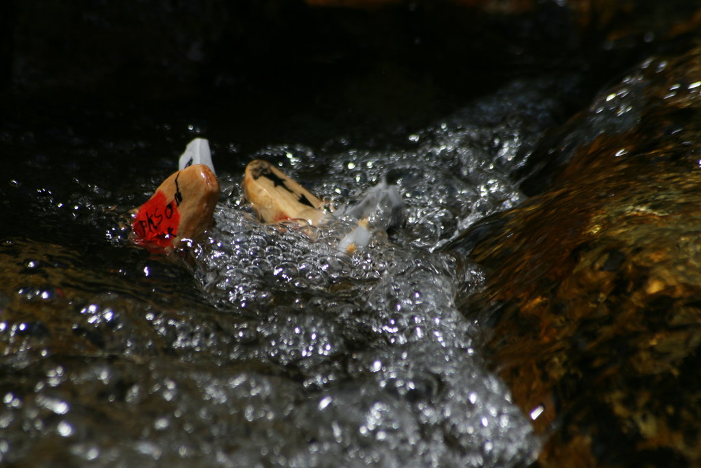 [IMG_5793.redimensionada.JPG]