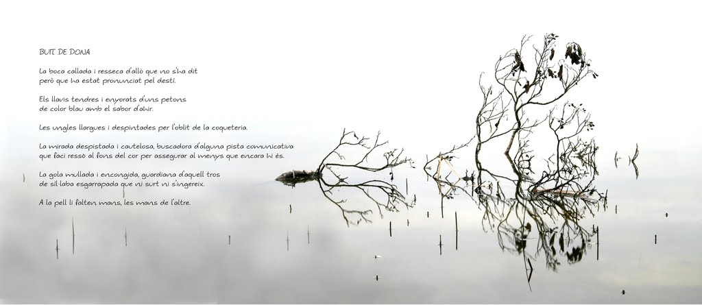 [buitdedona2.redimensionada.jpg]