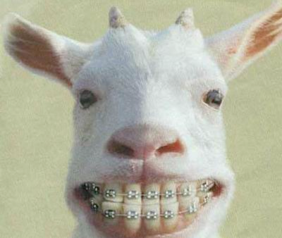 a girl with braces