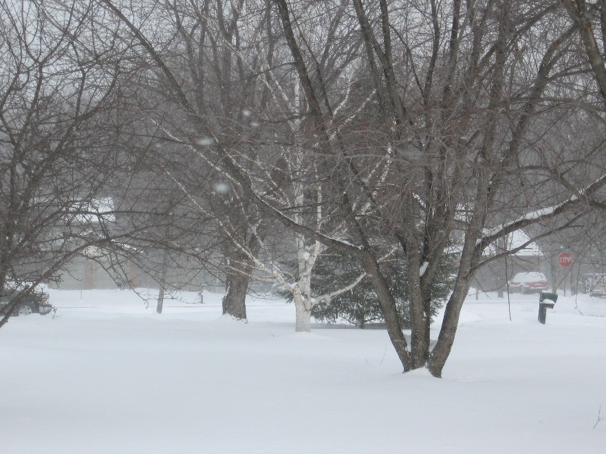 [snowstorm+004.jpg]