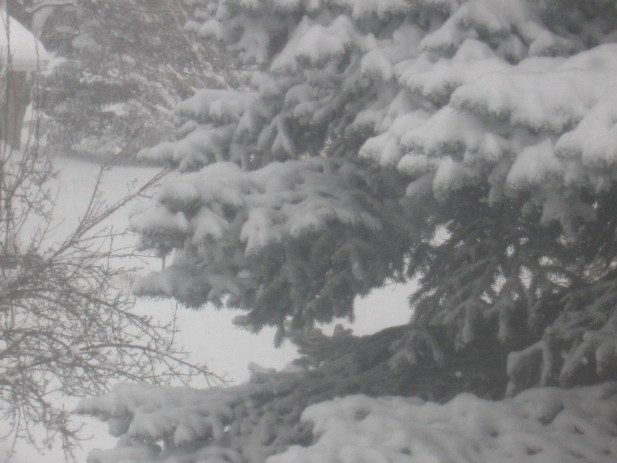 [snowstorm+001.jpg]