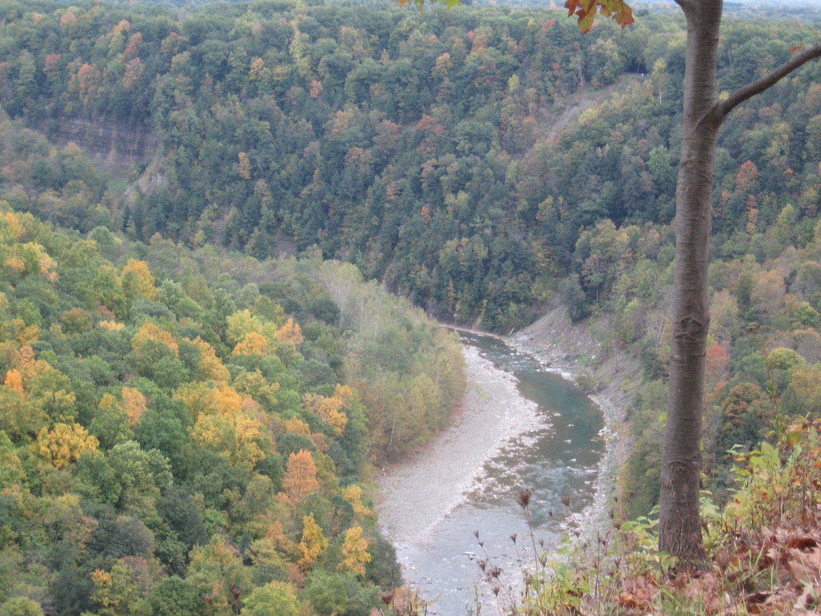 [october+15,+2007+021.jpg]