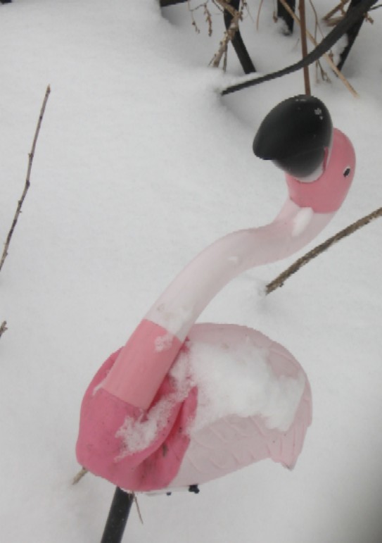 [january+2010+041.jpg]