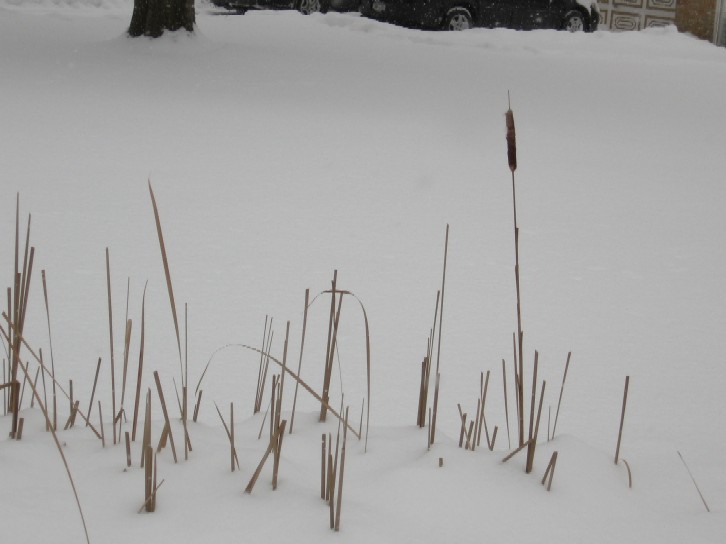 [january+2010+050.jpg]