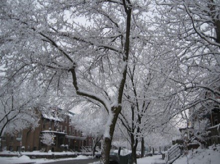 [snow.jpg]